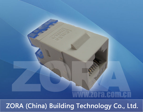 Cat.5e RJ45 information module